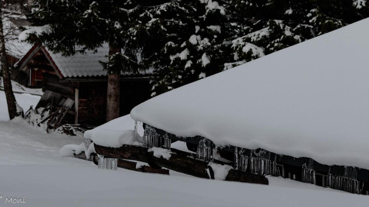 Haus Timmler