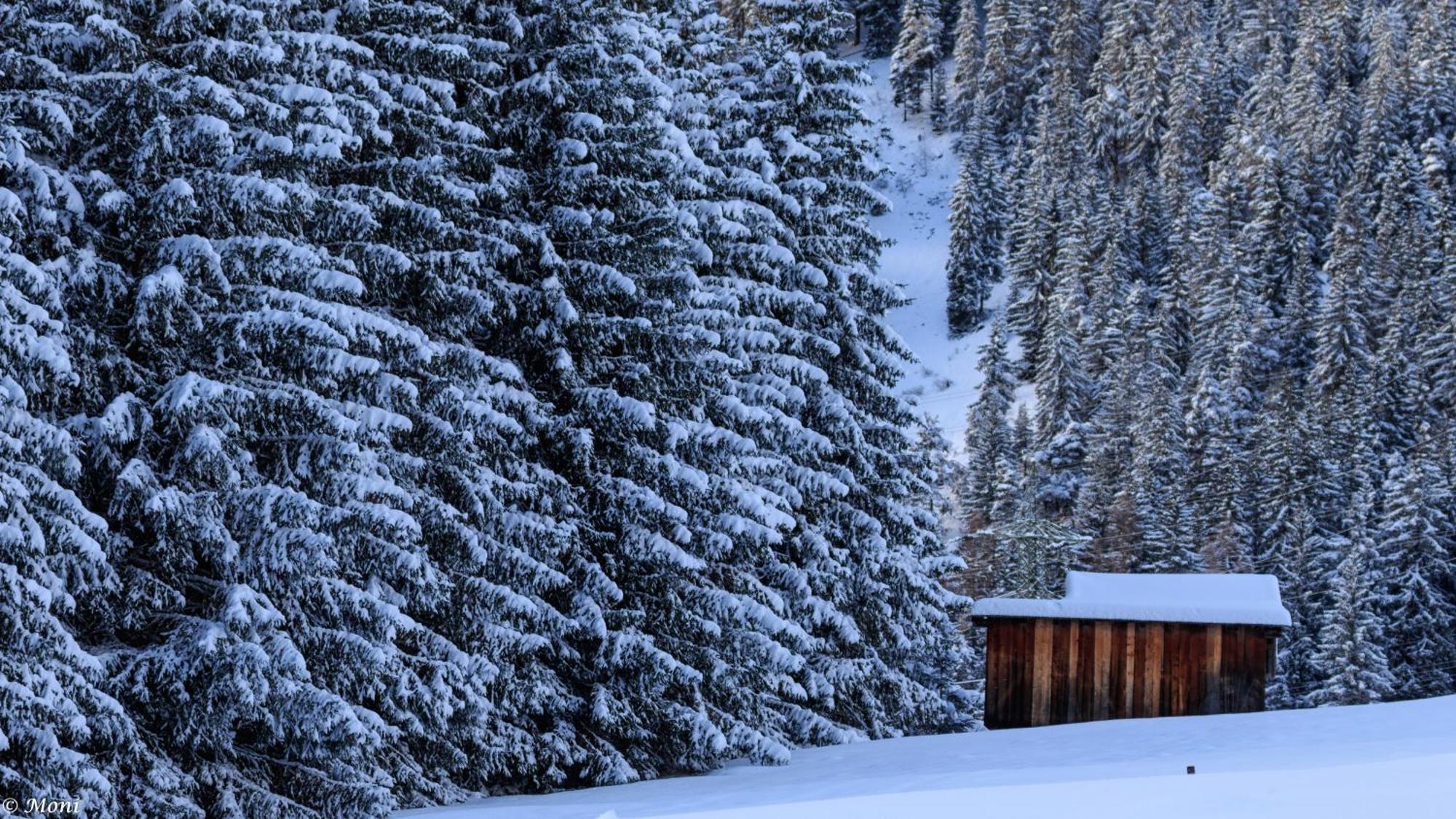 Haus Timmler Appartement Sankt Anton am Arlberg