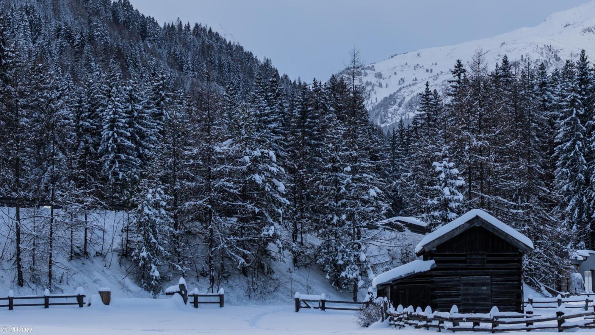 Haus Timmler Sankt Anton am Arlberg